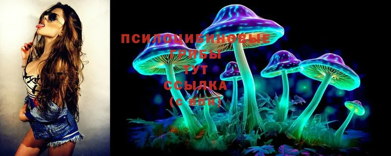 это как зайти  mega ONION  Гусев  закладка  Псилоцибиновые грибы Cubensis 